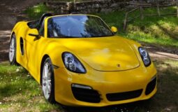 PORSCHE BOXSTER 981